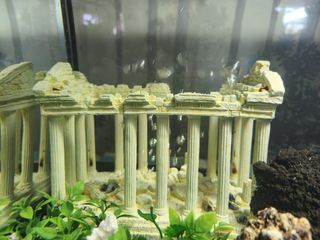 Acuario 60L 