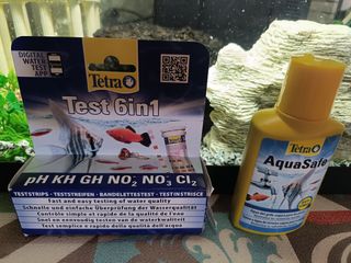 Acuario 60L 