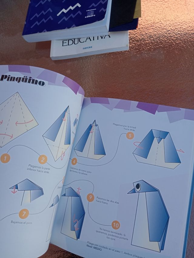 Iniciación a la Papiroflexia