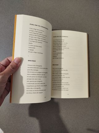 Palabras Andantes: Poesía portuguesa contemporánea
