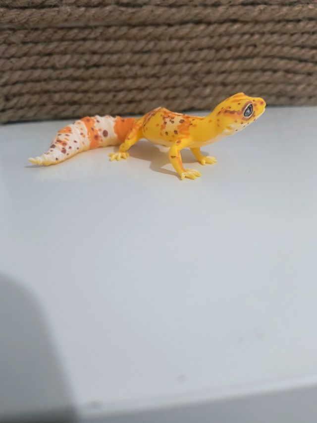 Gecko Leopardo 3D