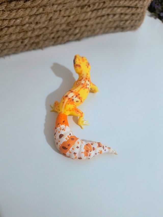 Gecko Leopardo 3D