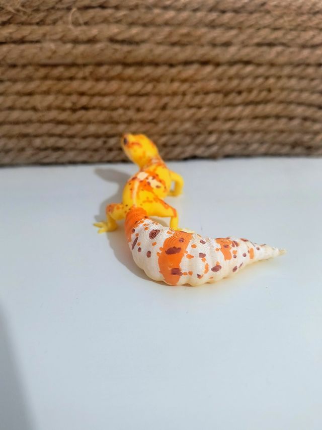 Gecko Leopardo 3D