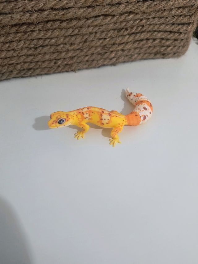 Gecko Leopardo 3D