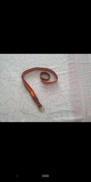 Cinturón de piel de España