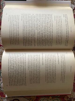 Libro - Fuoco e furia (Wolff)
