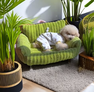 Divano letto per cani e gatti - Verde