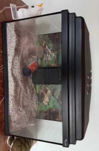 Acuario Aqualanttis 30L - Iluminación LED