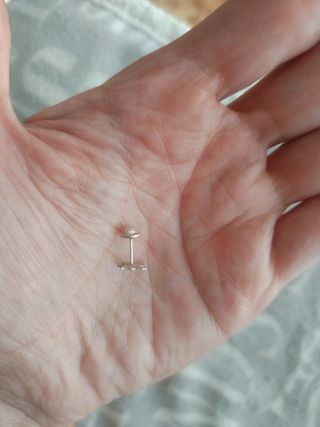 Pendientes Unicornio Rosellin Plata