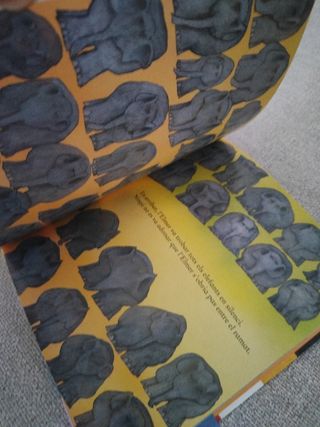 L'Elmer. Un conte - L'Elmer