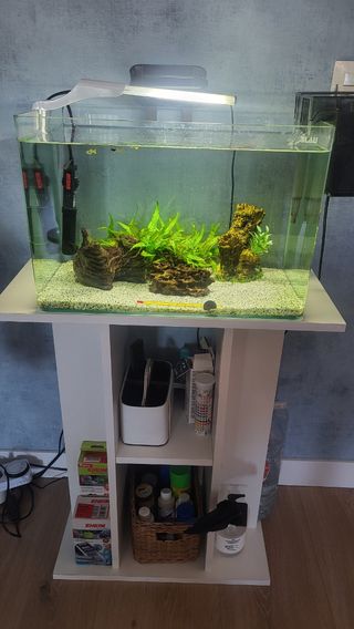 Acuario 40L Blau