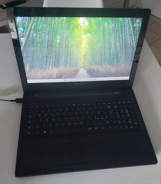 Notebook Lenovo G50-45 80E3
