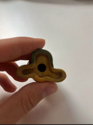 Cavalletta Thun 