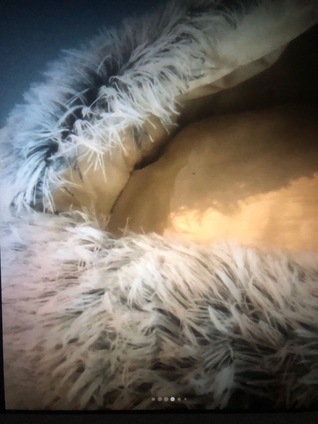 Cama cueva mascota gris-beige