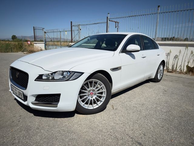 Jaguar XF 20d Pure Automatico 2016