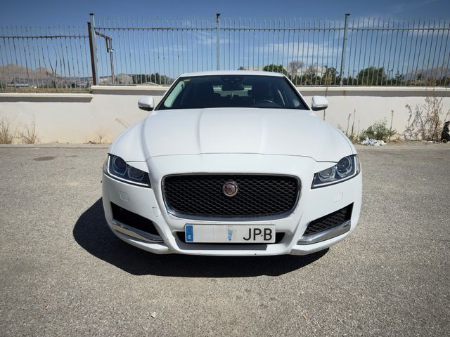 Jaguar XF 20d Pure Automatico 2016