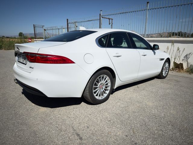 Jaguar XF 20d Pure Automatico 2016