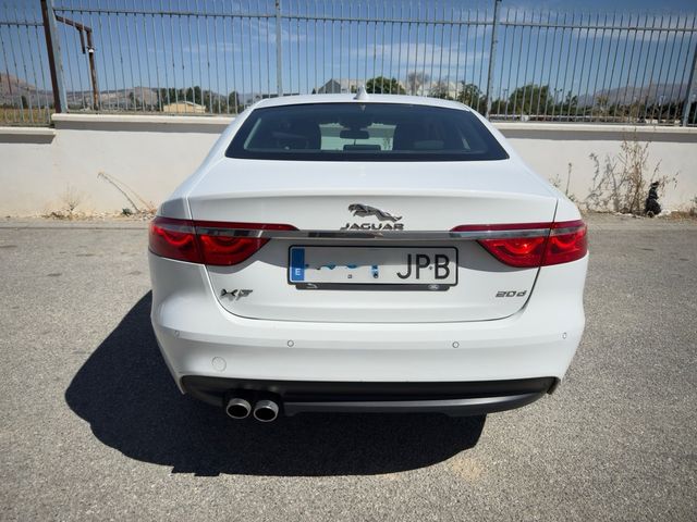 Jaguar XF 20d Pure Automatico 2016
