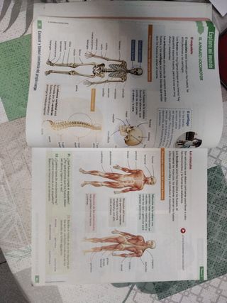 CIENCIAS DE LA NATURALEZA 4 (COMUNIDAD ZOOM)