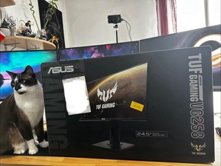 Pack 3 Monitores ASUS TUF VG258 + Soporte | 280hz