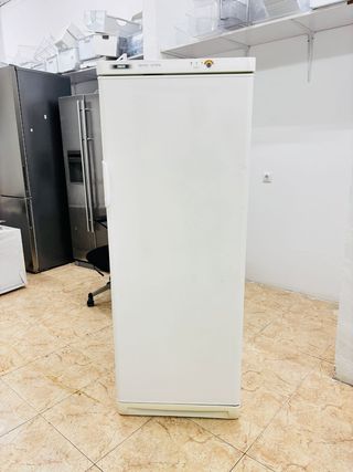 Congelador vertical Zanussi