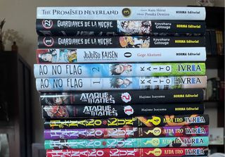 lote de mangas