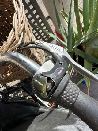 Bicicleta clásica negra c/ cesta