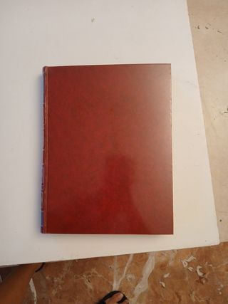 Historia del arte - colección Salvat