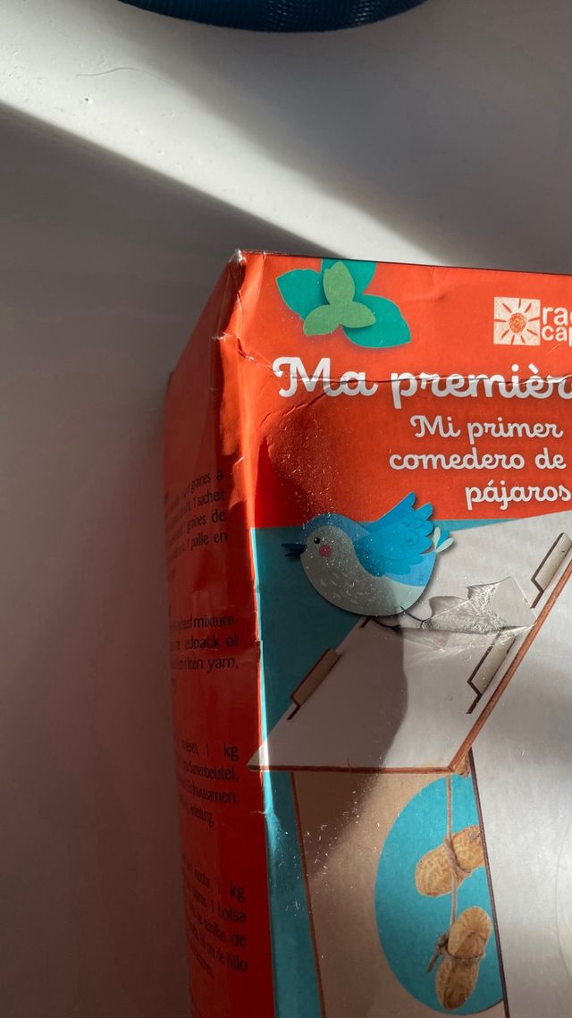 Manualidad Mi primer comedero de pájaros