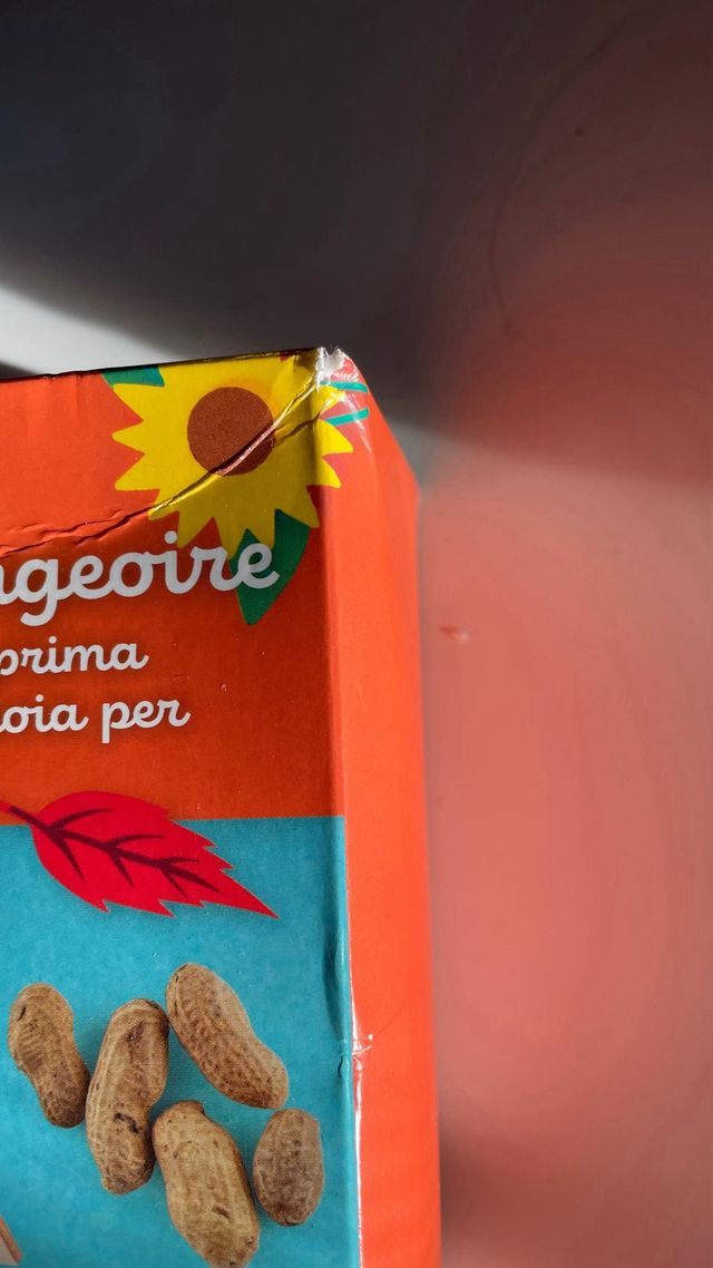 Manualidad Mi primer comedero de pájaros