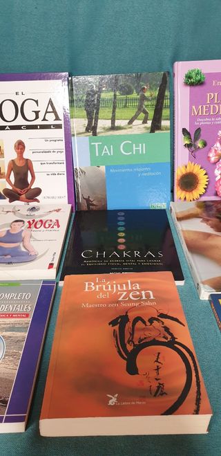 LOTE 9 LIBROS ESTILO ORIENTAL SALUD Y BIENESTAR