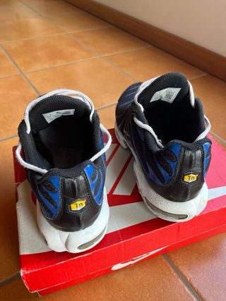 Zapatillas Nike Air Max Plus TN