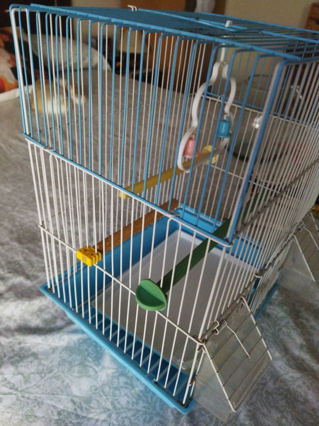Jaula pajaros azul y blanca