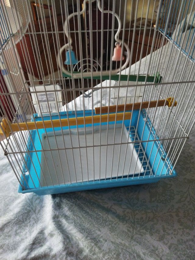 Jaula pajaros azul y blanca