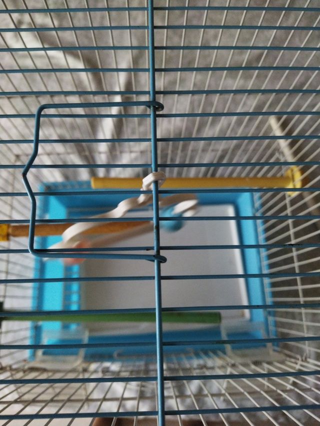 Jaula pajaros azul y blanca