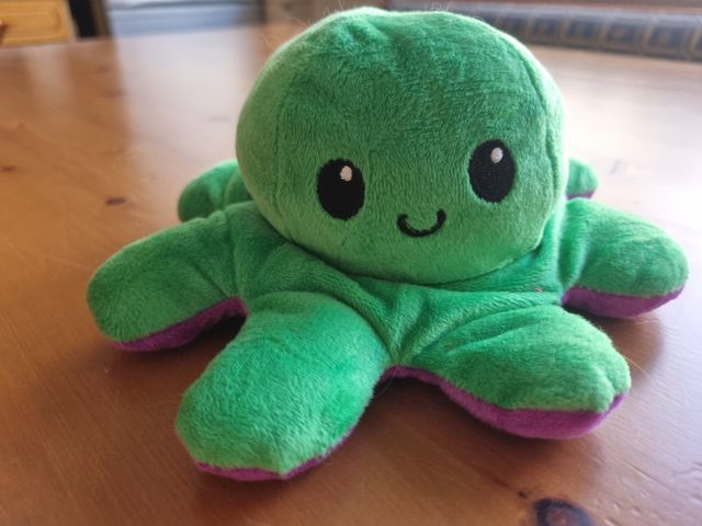 Pupazzo Piovra Pianeta Reversibile