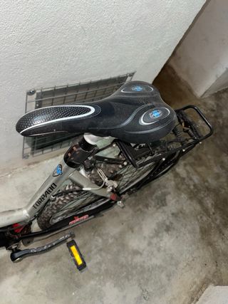 Bicicleta Torpado montaña