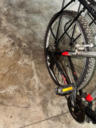 Bicicleta Torpado montaña