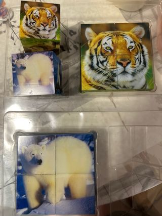 Cubos magnéticos animales