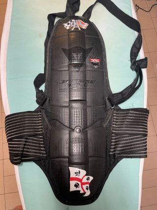 Paraschiena Dainese HP-C