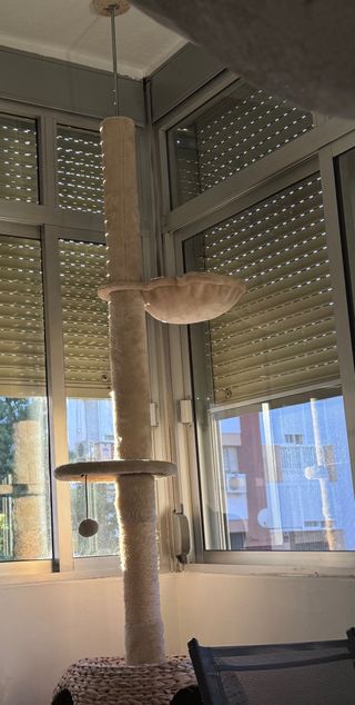 Rascador gato - Árbol para gatos