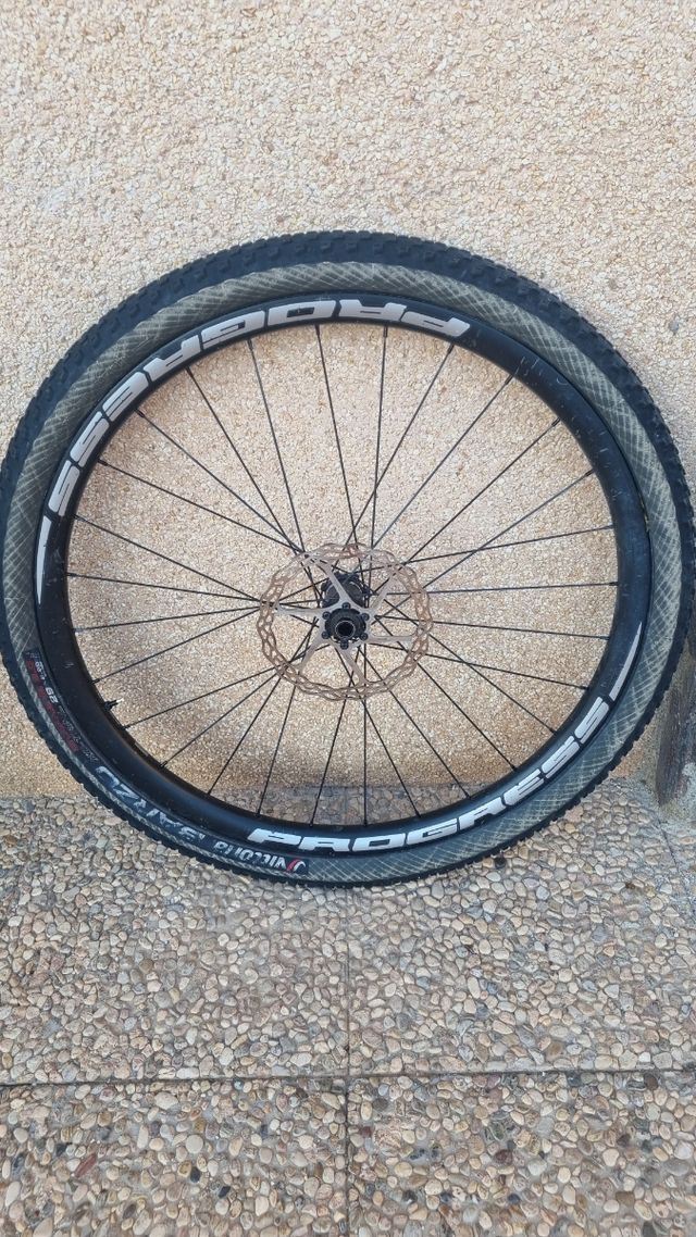 Ruedas Progress MTB 29 Grafeno