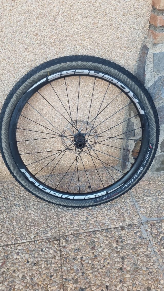 Ruedas Progress MTB 29 Grafeno