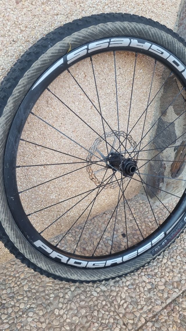Ruedas Progress MTB 29 Grafeno