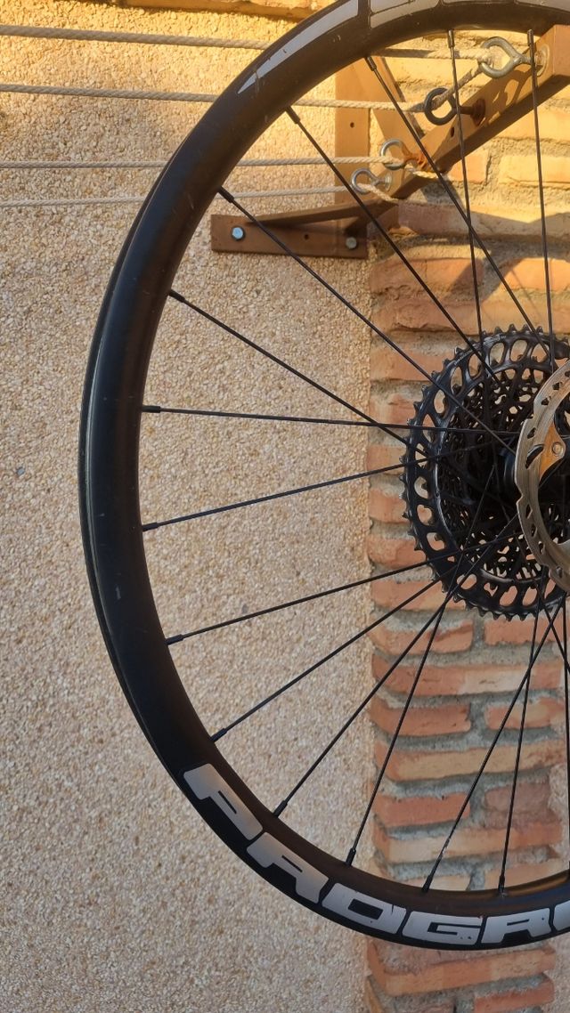 Ruedas Progress MTB 29 Grafeno