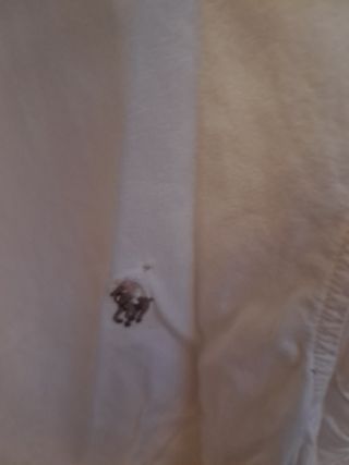 Camisa Ralph Lauren niña talla 8