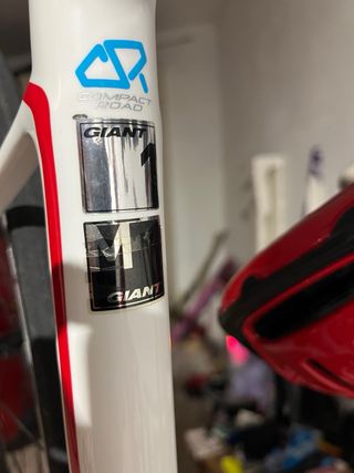 Bicicleta Giant Defy Advanced Carbono