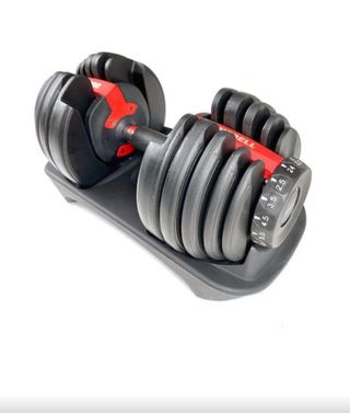 Mancuerna regulable  24kg