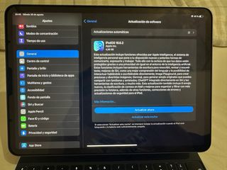 iPad Pro 11" Gris Espacial