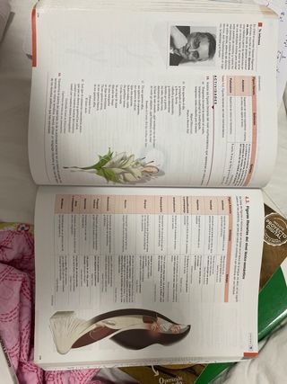 Lengua castellana y Literatura 1.º Bachillerato